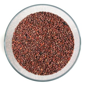 FLLMATERIAL Traubenkerne