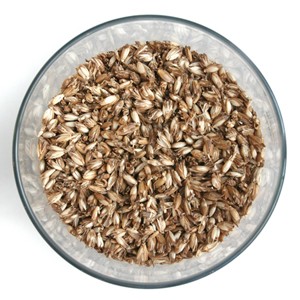 Fllmaterial DINKELSPELZEN
